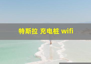 特斯拉 充电桩 wifi